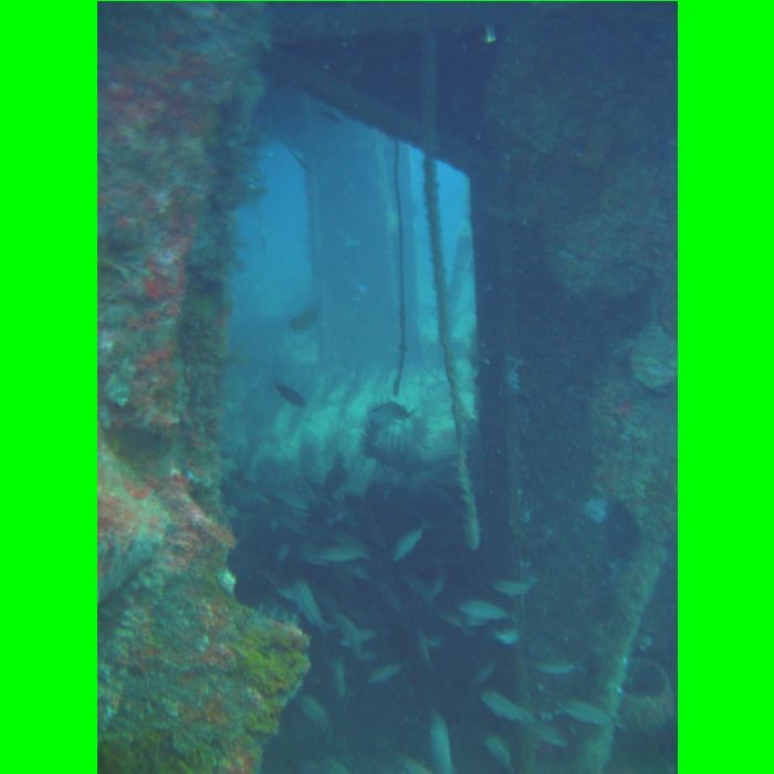 Dive NC 4-Jul-09_549.JPG
